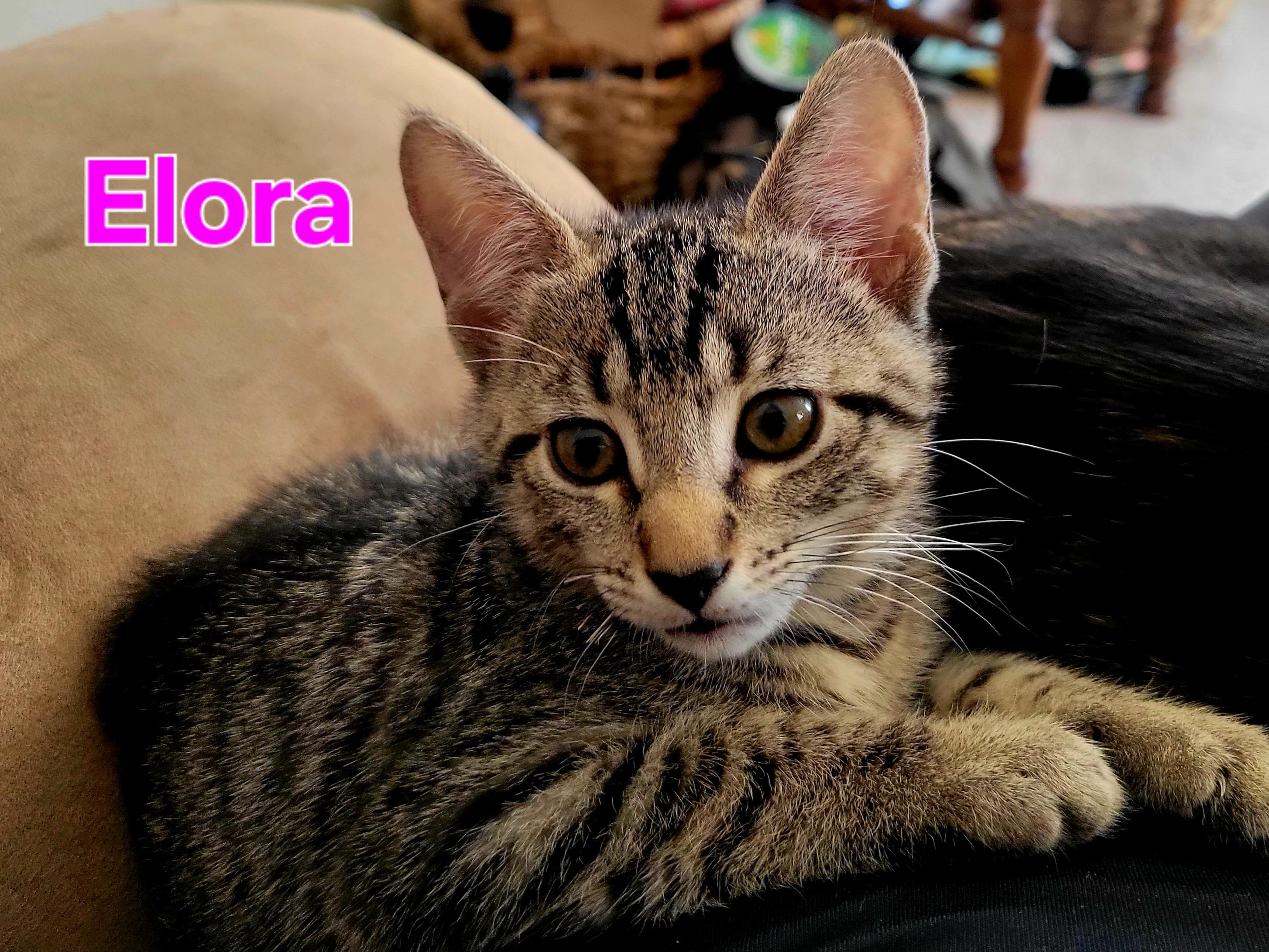 Elora