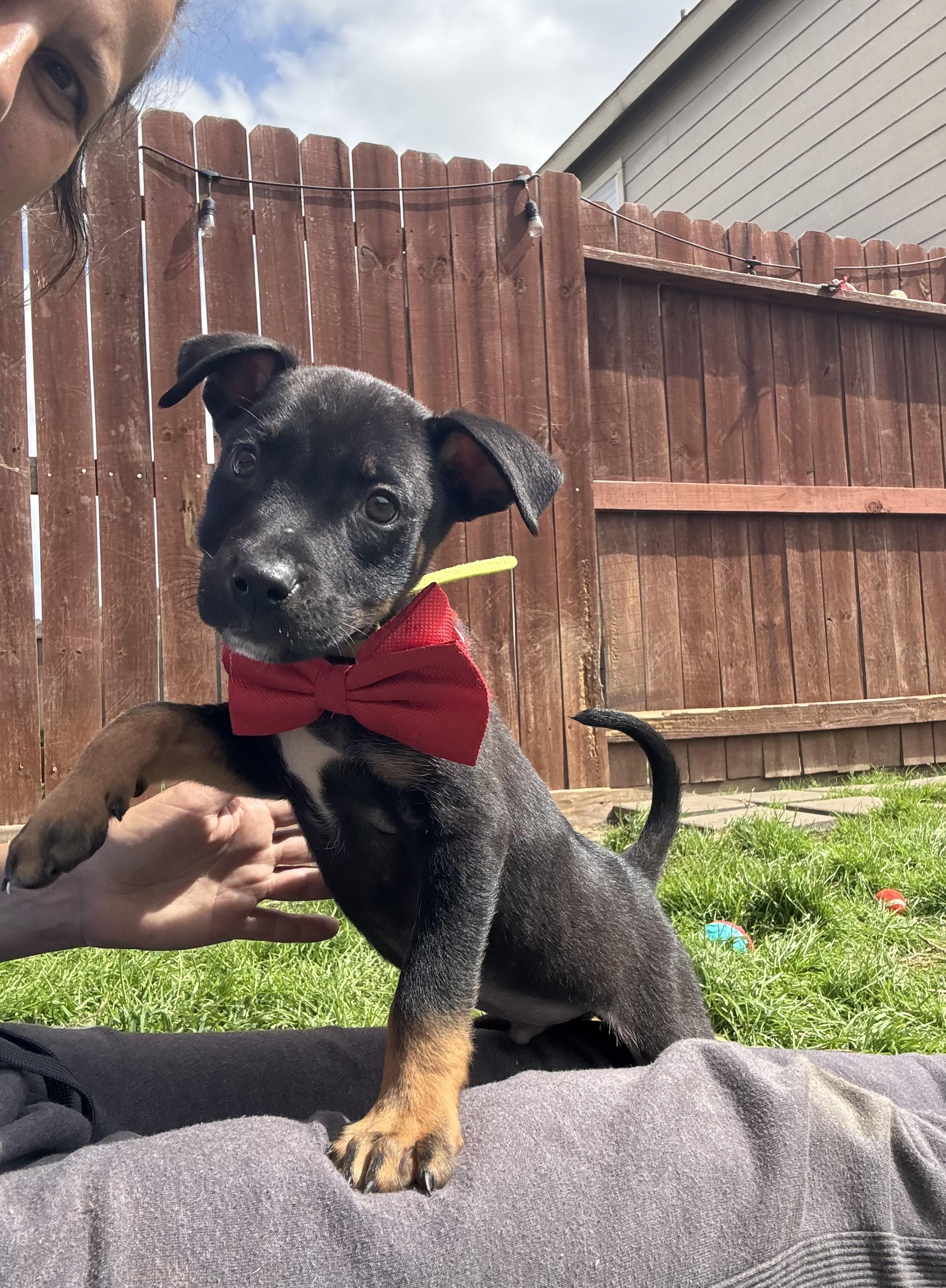 Marx Galaxy — thumbnail 5