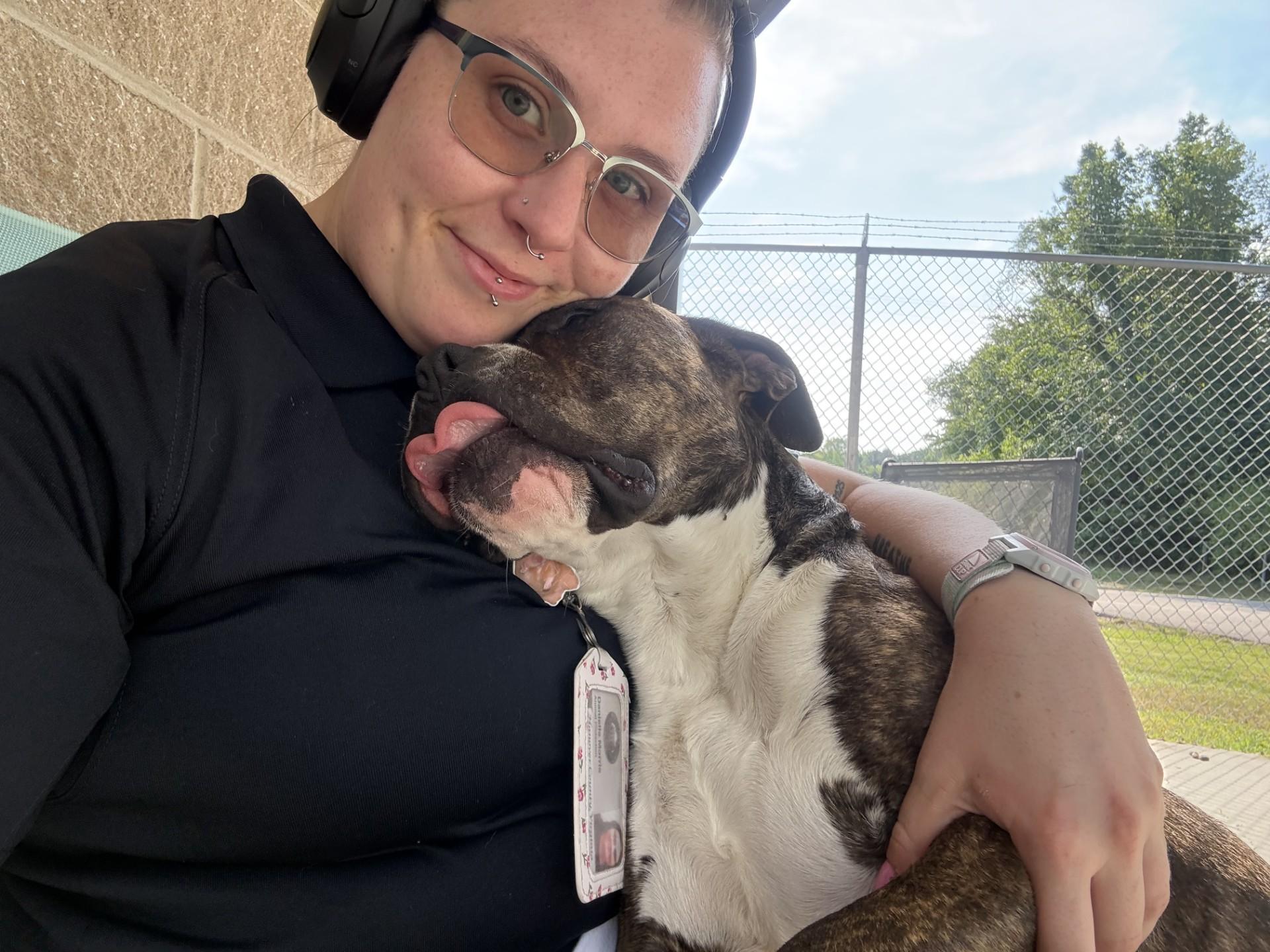 Malibu, a ADOPTABLE mixed breed in Ashland, VA image 4/6