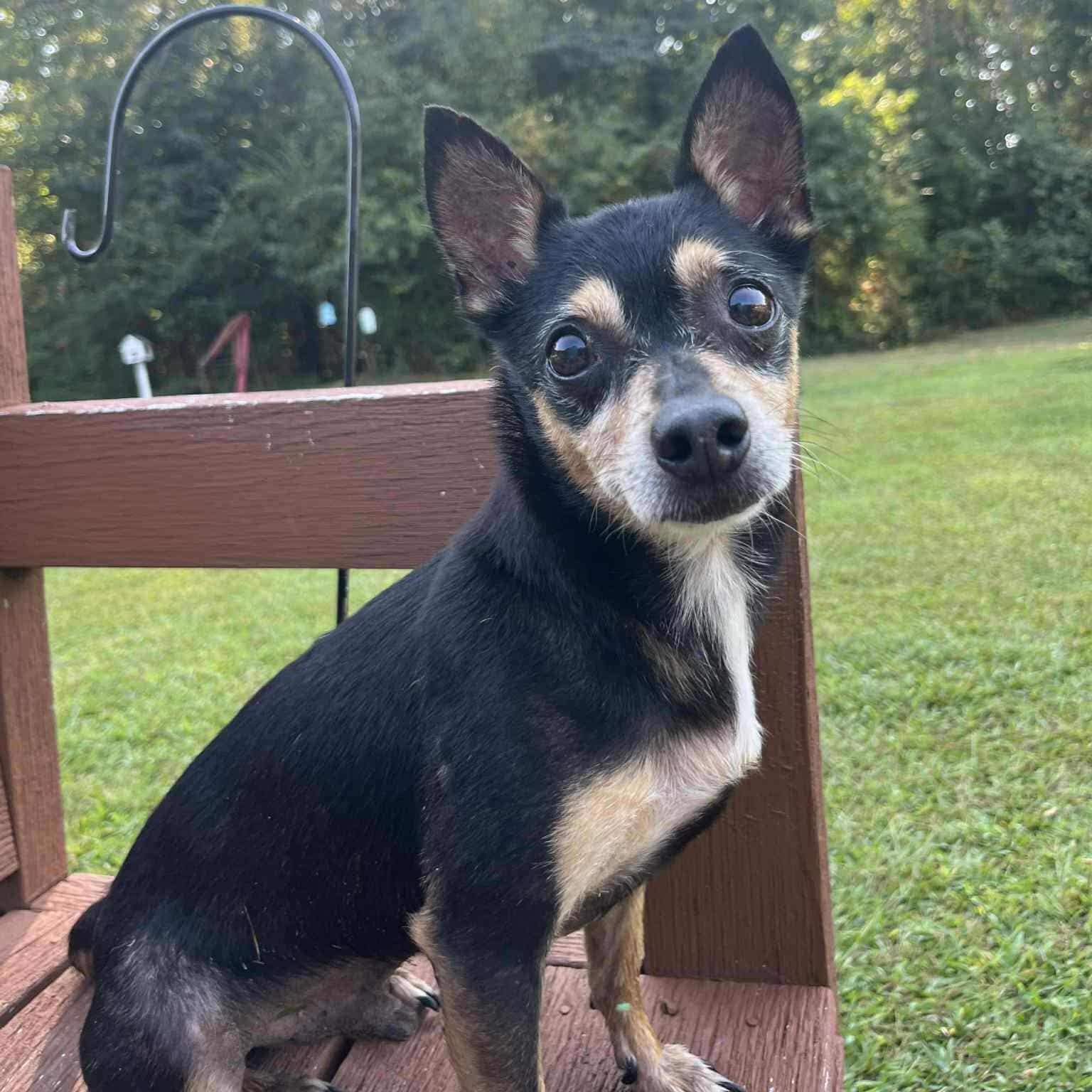 Roscoe