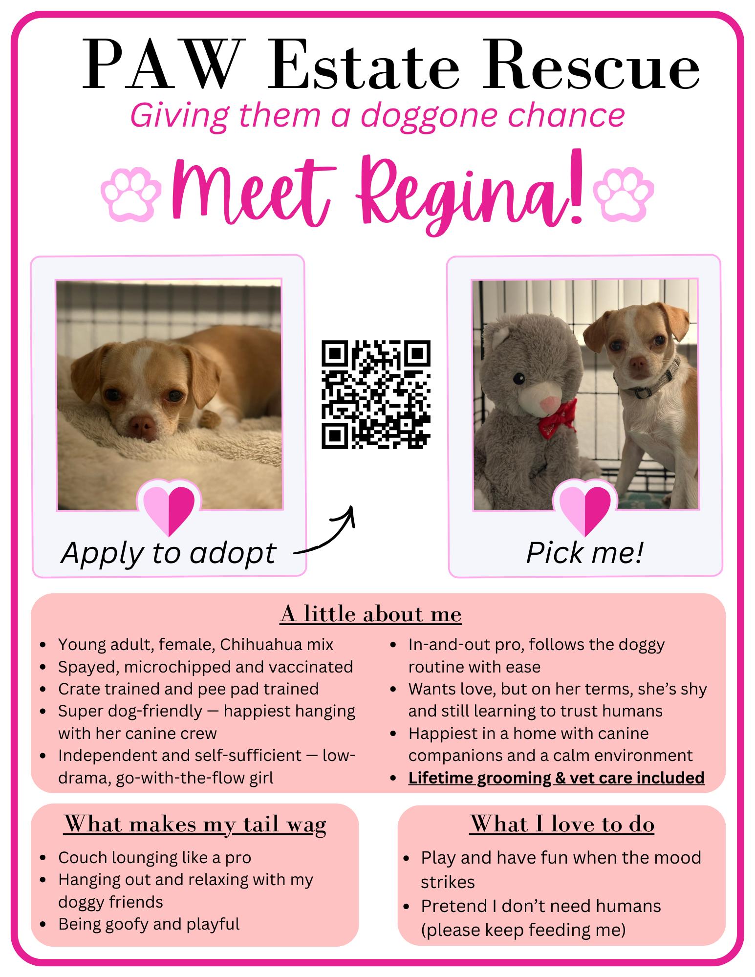 Enlarge Regina, a Adoptable Chihuahua in Visalia, CA image 3/3