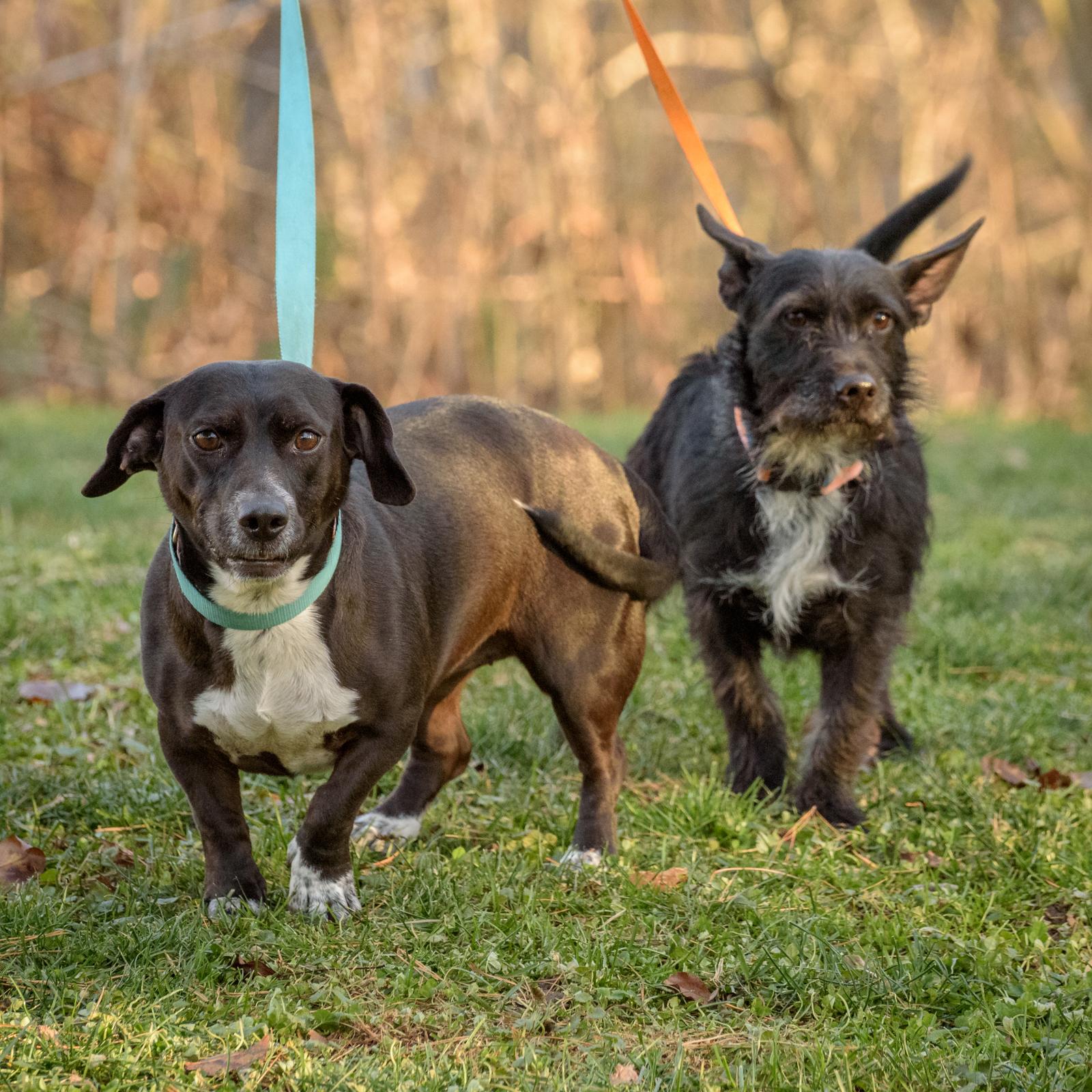 Lexi And Hannah  thumbnail 2