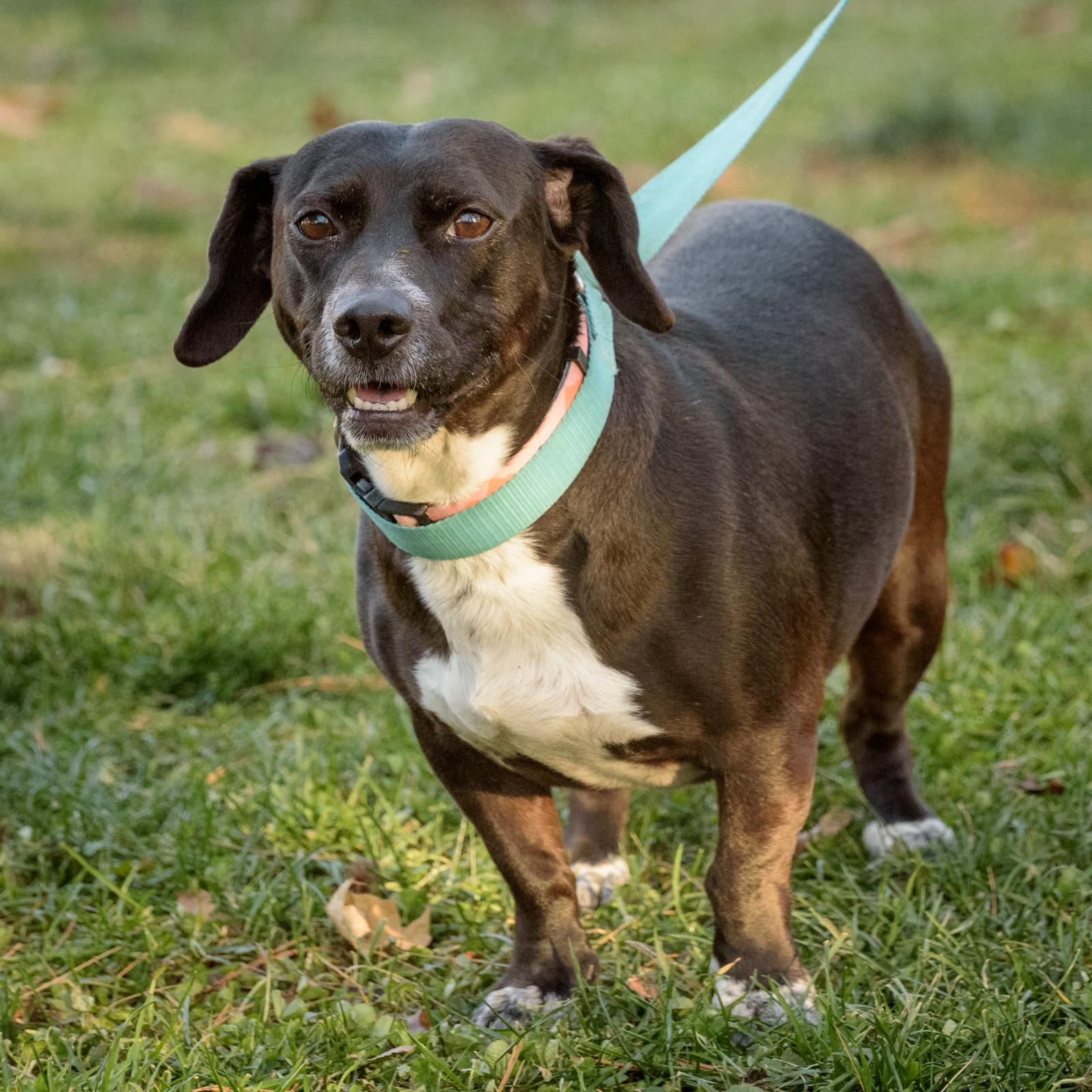 Lexi And Hannah  thumbnail 3