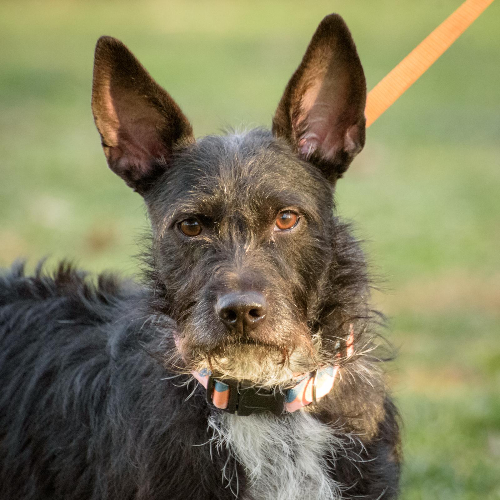 Lexi And Hannah  thumbnail 4