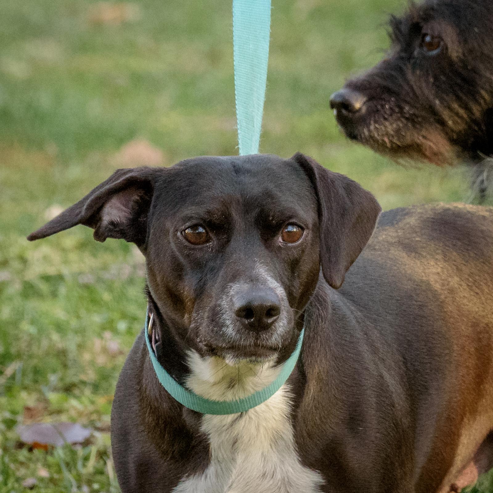 Lexi And Hannah  thumbnail 5