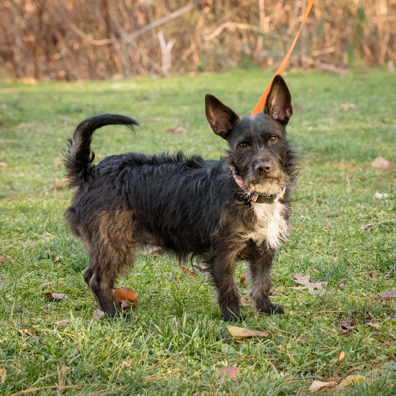 Lexi And Hannah  thumbnail 6