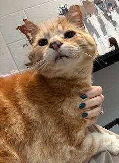 Banana — thumbnail 2