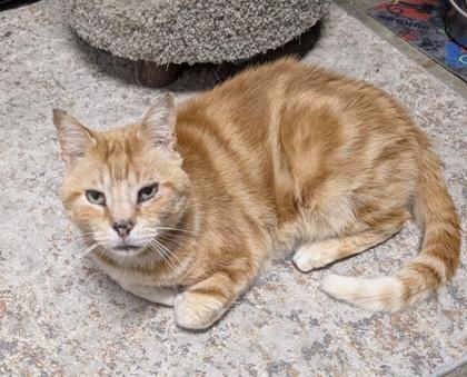 Banana — thumbnail 3