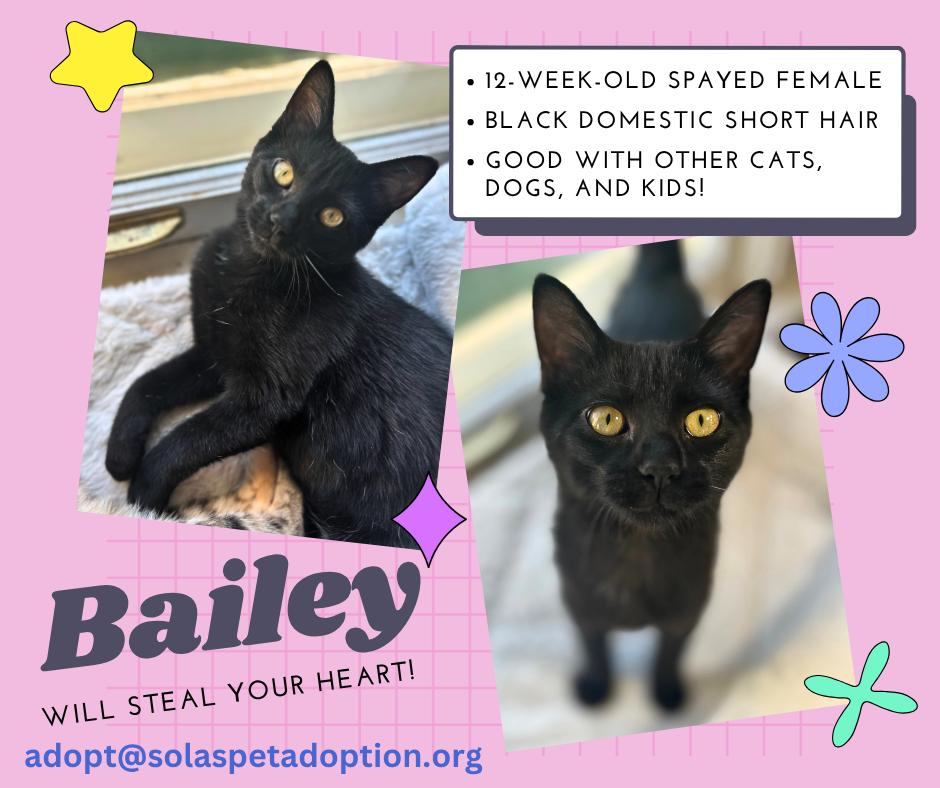 Bailey  --  (ab)