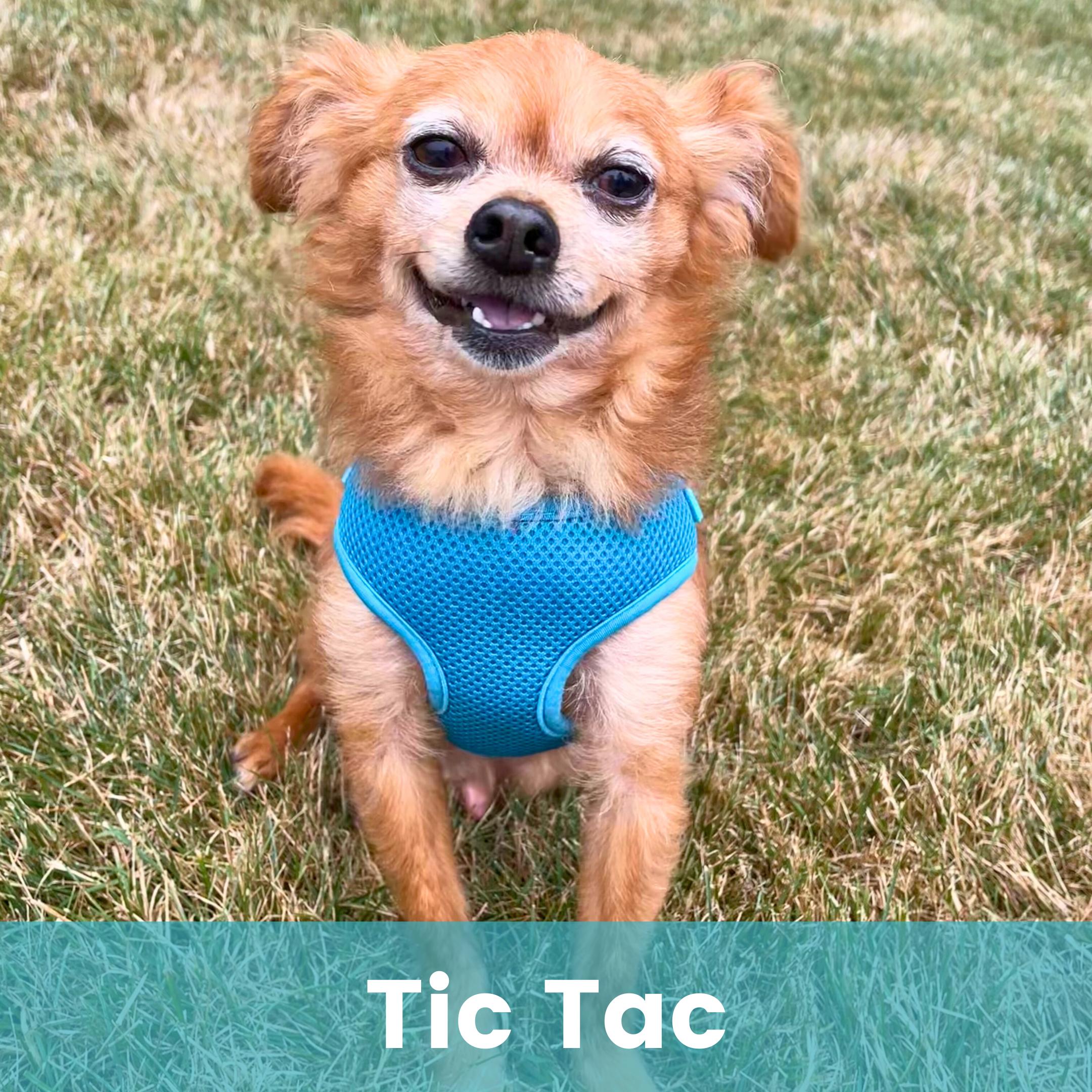 Tic Tac