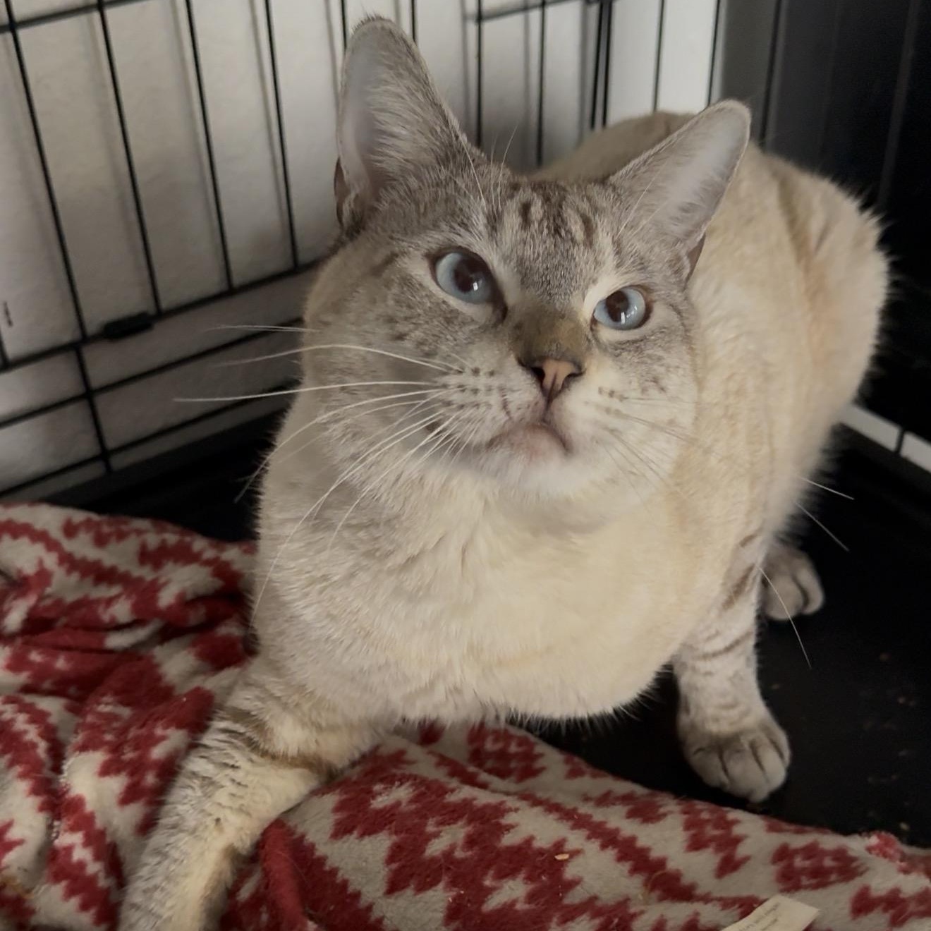 Ghost — thumbnail 3