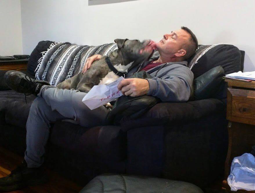 Toaster, a Adoptable mixed breed in Mission, KS image 6/12