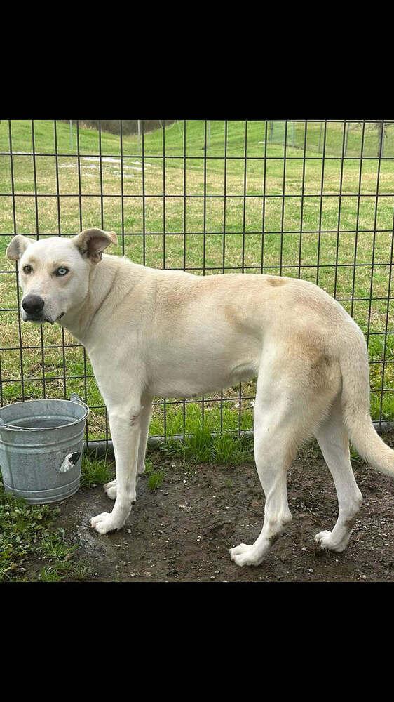 LuLu — thumbnail 2