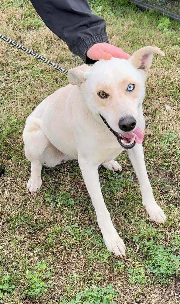 LuLu — thumbnail 4