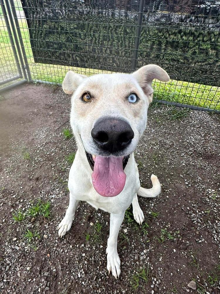 LuLu — thumbnail 6