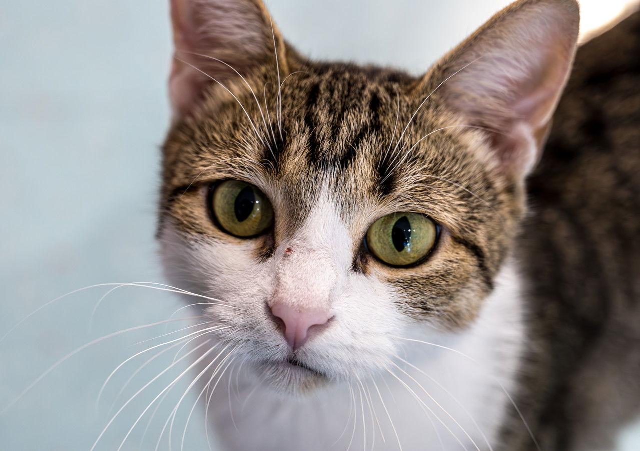 Mabel  Kbc thumbnail 4