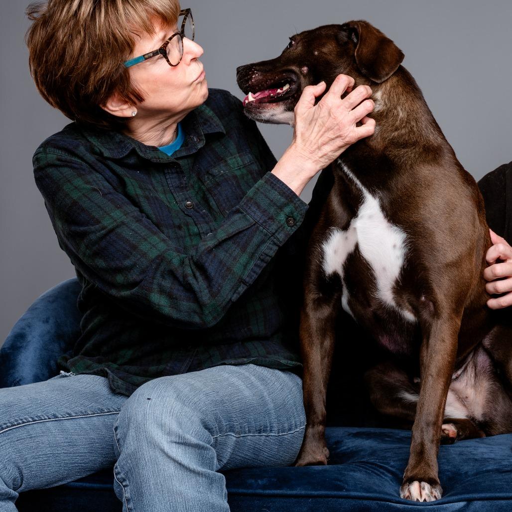 Enlarge Raven, a Adoptable Pit Bull Terrier in Chester Springs, PA image 5/6