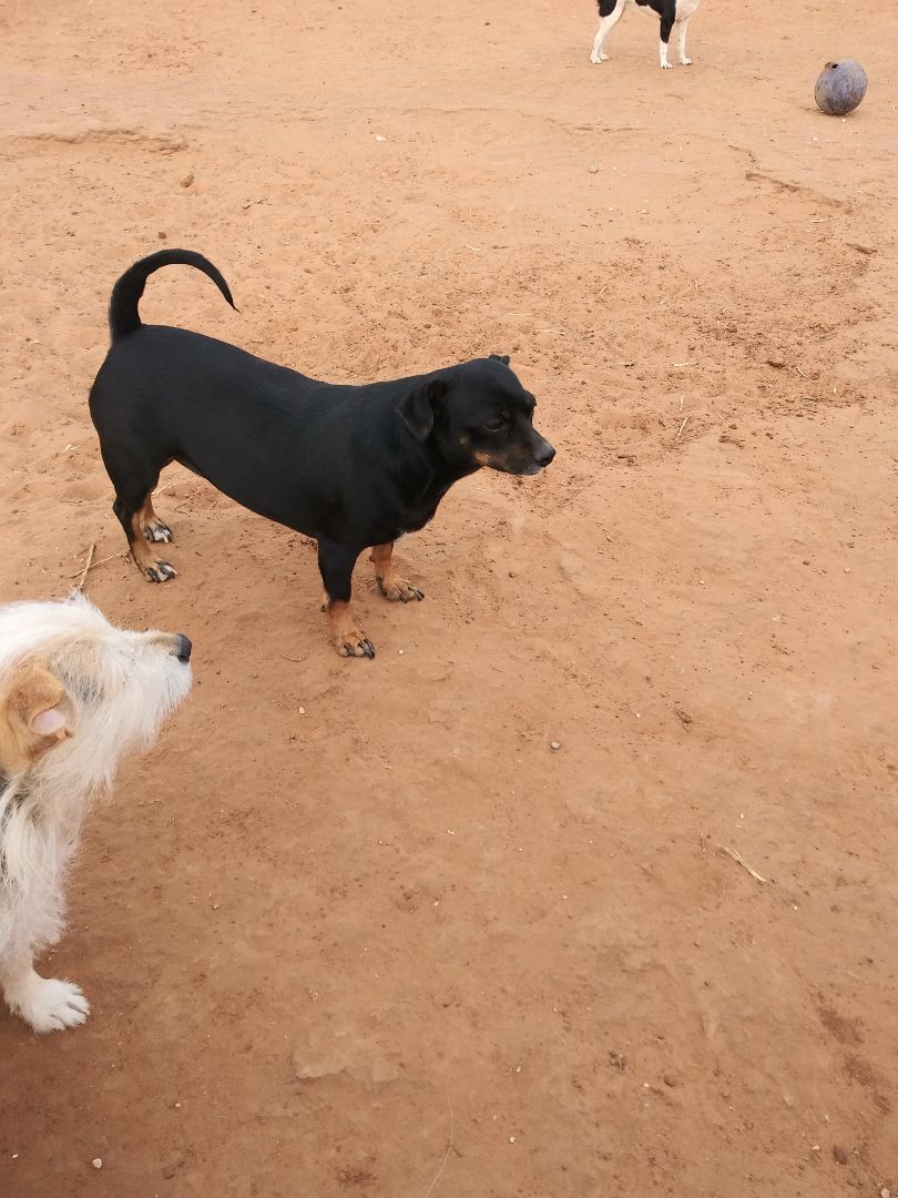 Lucy (Lou Lou) — thumbnail 2