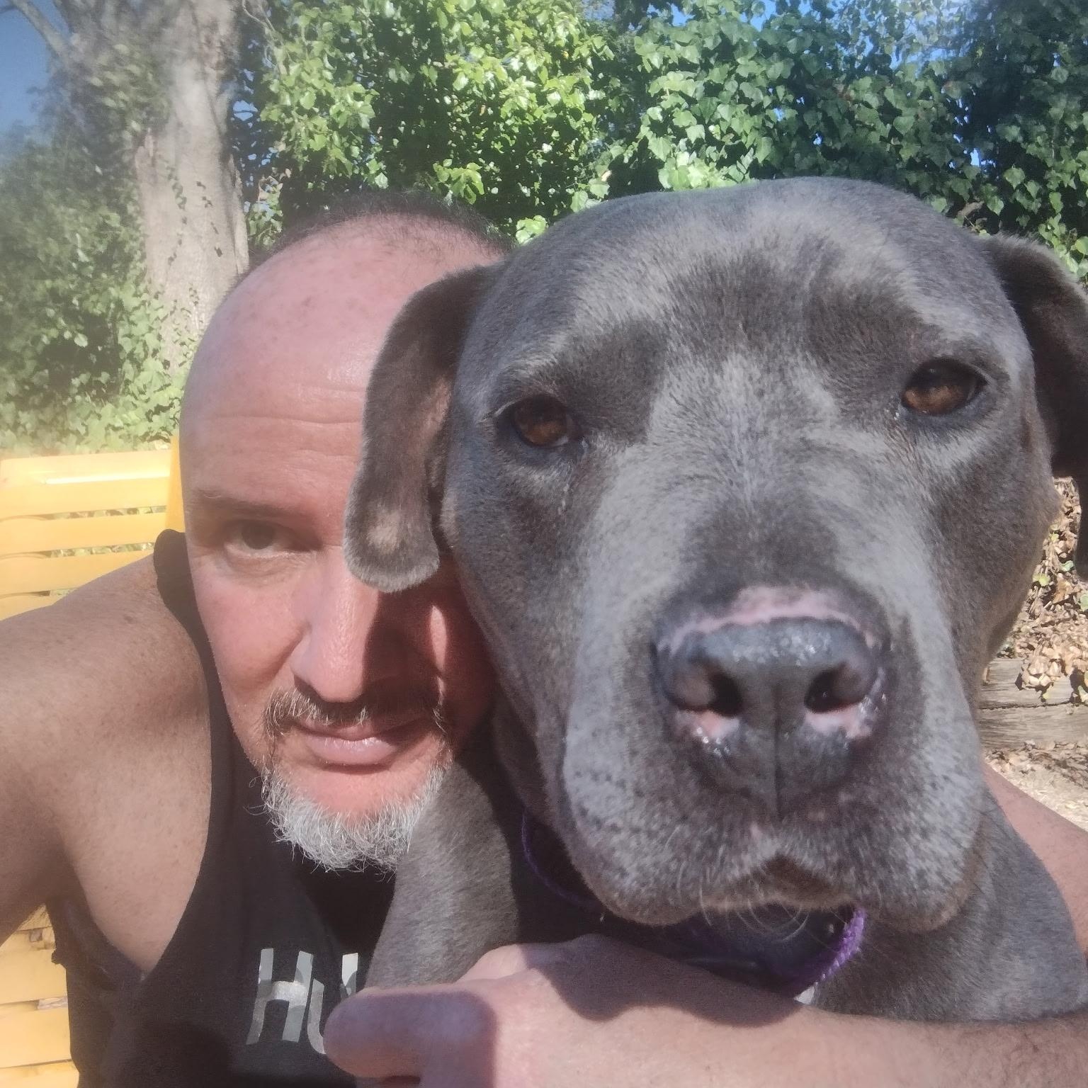 Enlarge Tyla, an adoptable mixed breed in Hayward, CA image 2/6