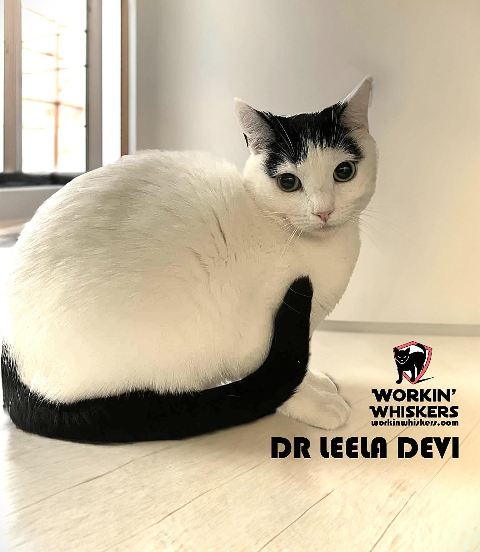 DR LEELA DEVI photo