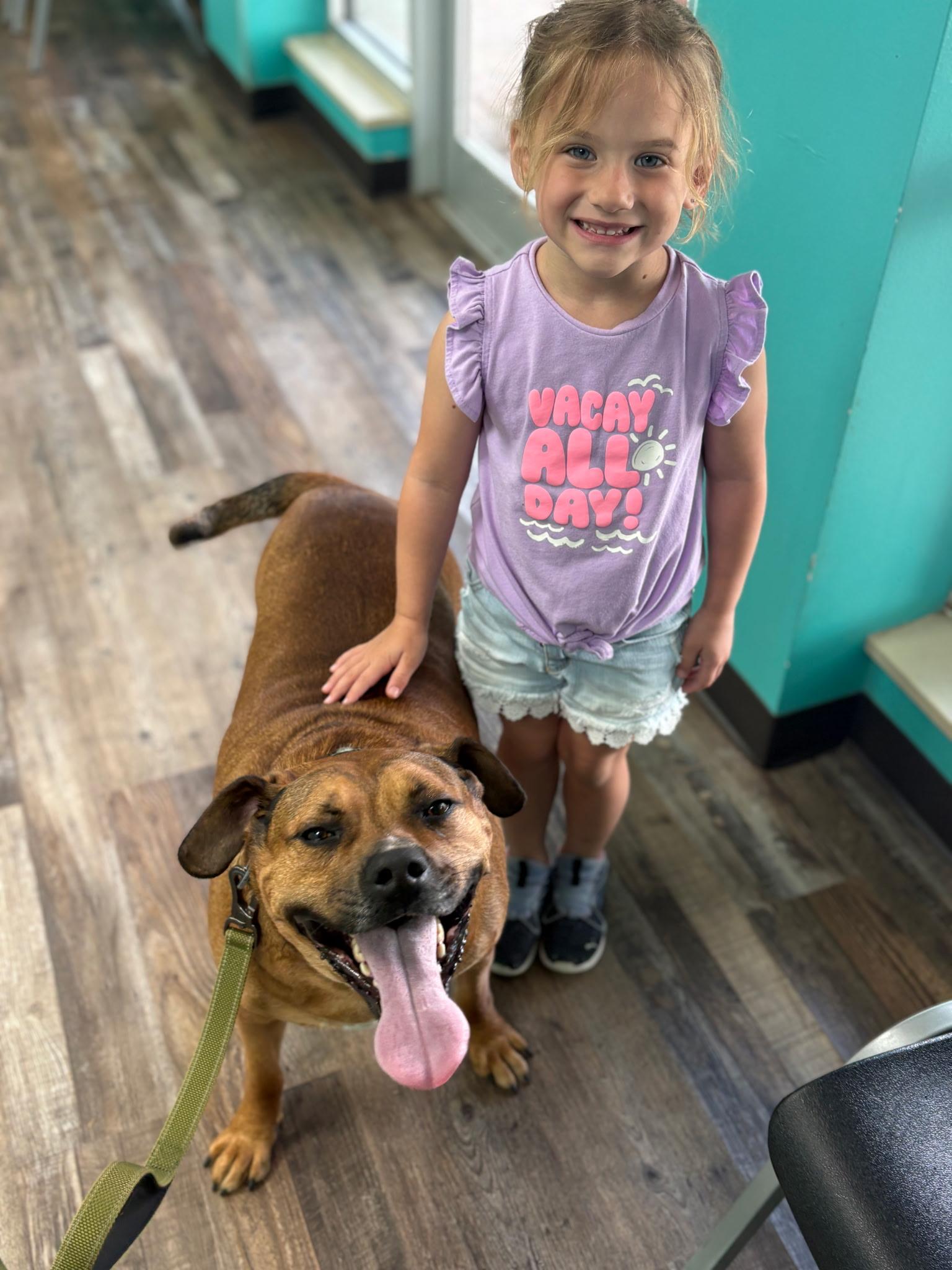 Enlarge Willie , a ADOPTABLE mixed breed in Chesapeake Beach, MD image 2/6