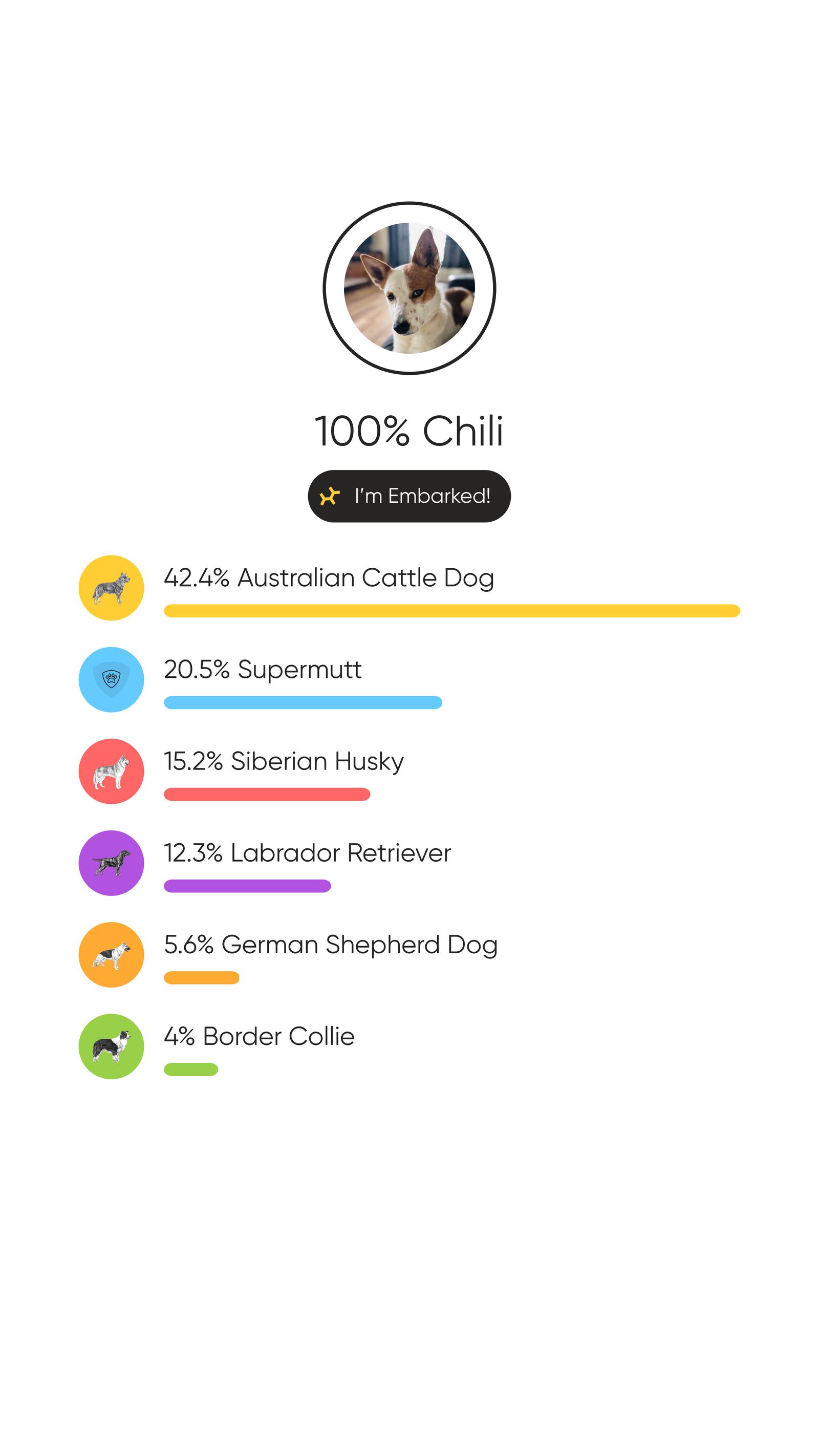 Enlarge Chilli, a Adoptable mixed breed in Merriam, KS image 3/3