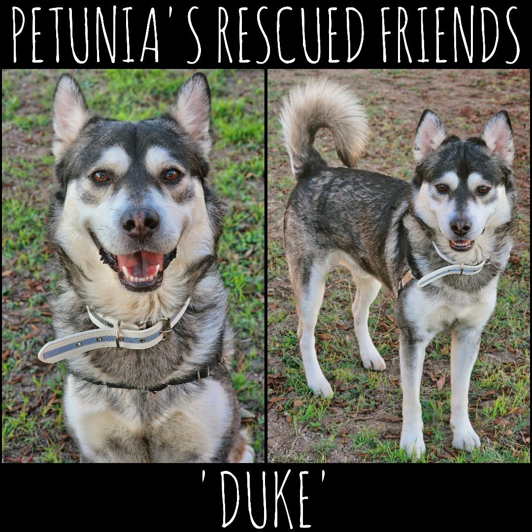 Duke.