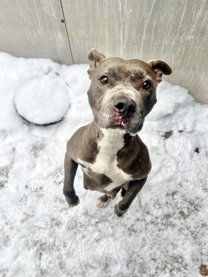 Roma — thumbnail 2