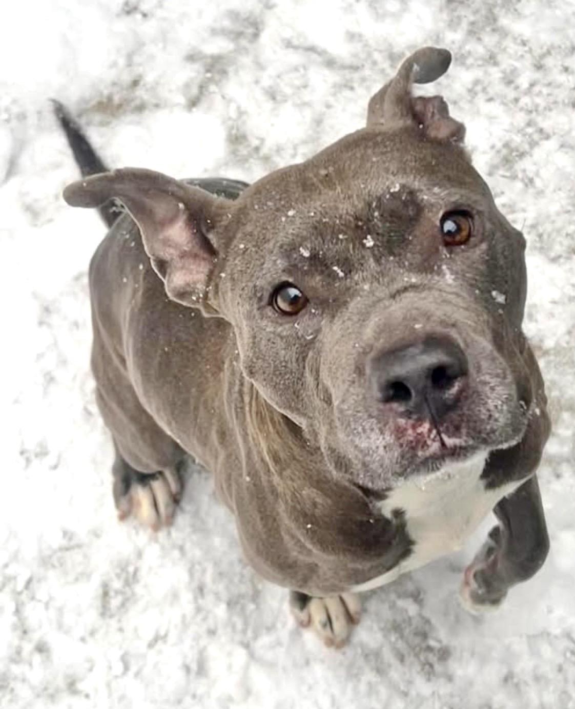 Roma — thumbnail 4