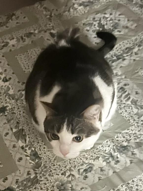 Lilly photo 5