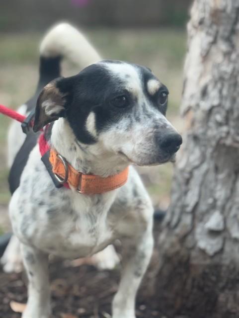 Steve — thumbnail 3