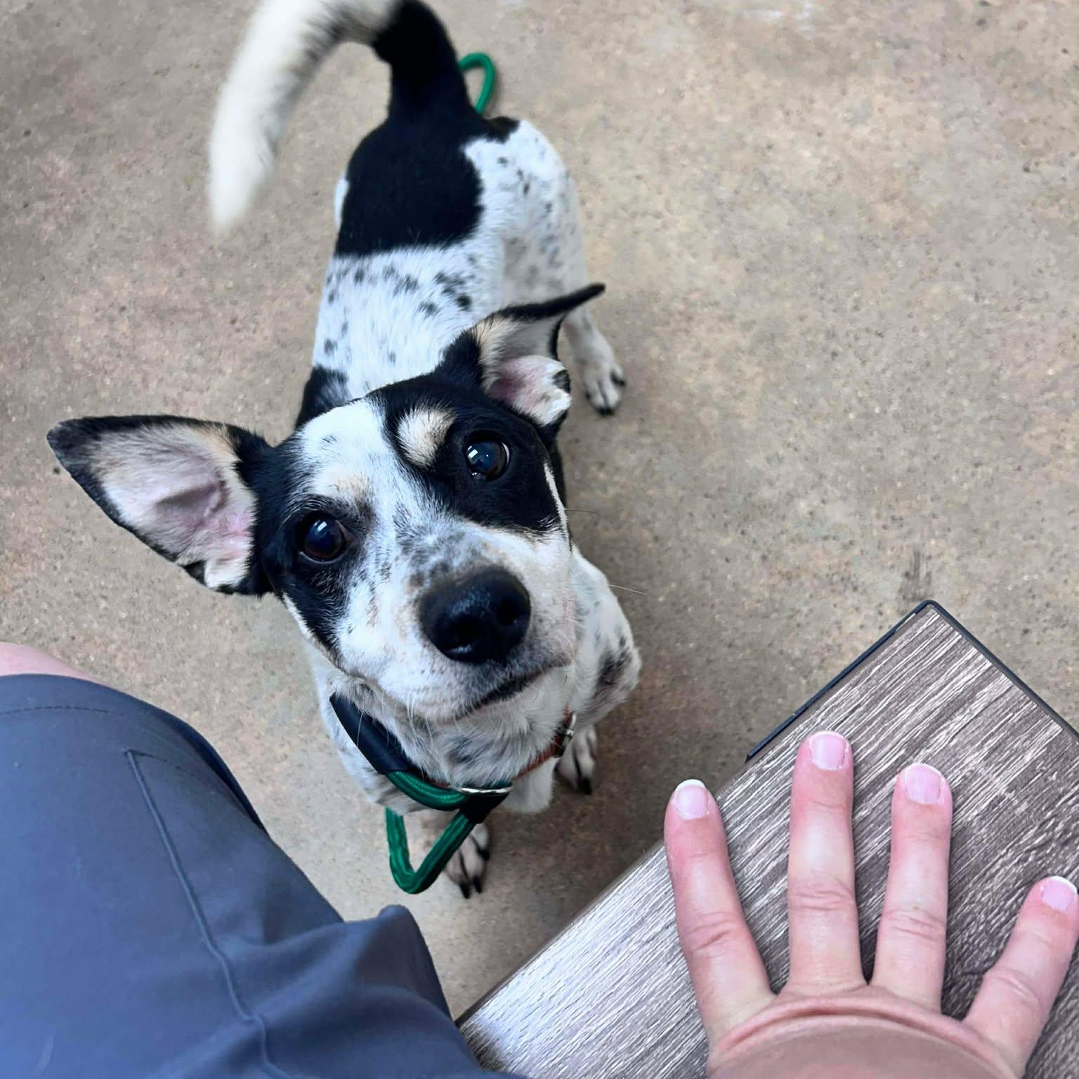 Steve — thumbnail 5