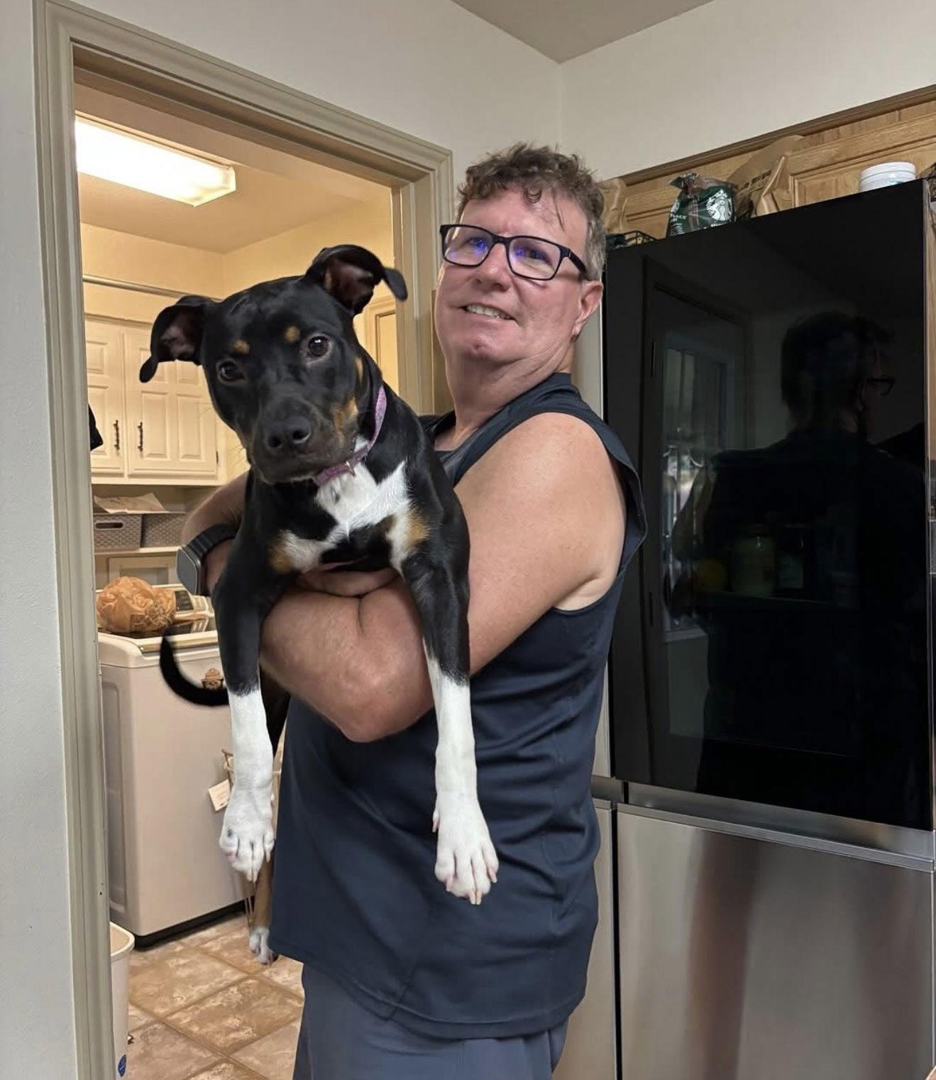 Enlarge Pixie, a Adopted mixed breed in Euless, TX image 2/3