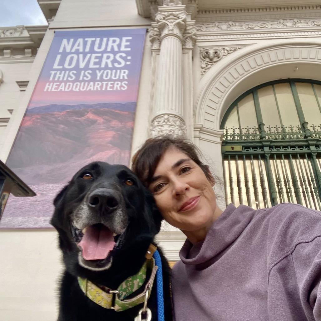 Enlarge Tanner, a Adoptable Black Labrador Retriever in Ramona, CA image 4/6