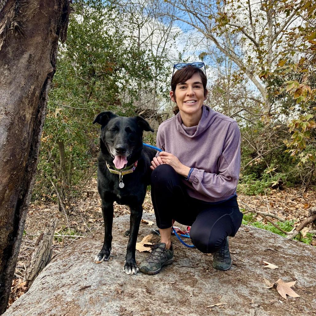 Enlarge Tanner, a Adoptable Black Labrador Retriever in Ramona, CA image 5/6
