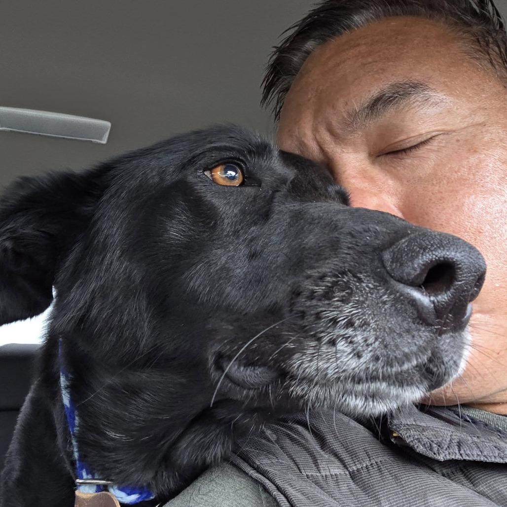 Enlarge Tanner, a Adoptable Black Labrador Retriever in Ramona, CA image 6/6