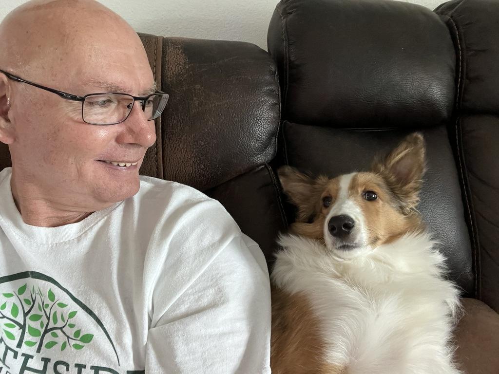 Enlarge Snickers, a Adoptable Shetland Sheepdog / Sheltie in Palm Bay, FL image 4/4