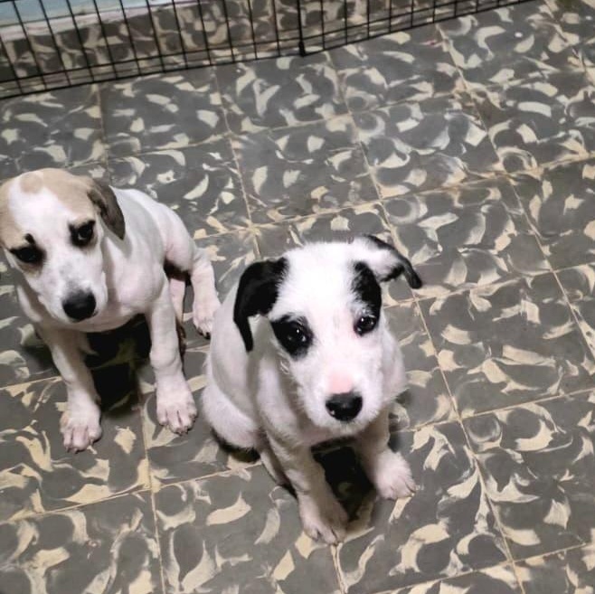 Kiki "the Cutest!" thumbnail 4