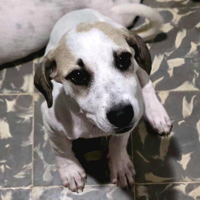 Kiki "the Cutest!" thumbnail 5