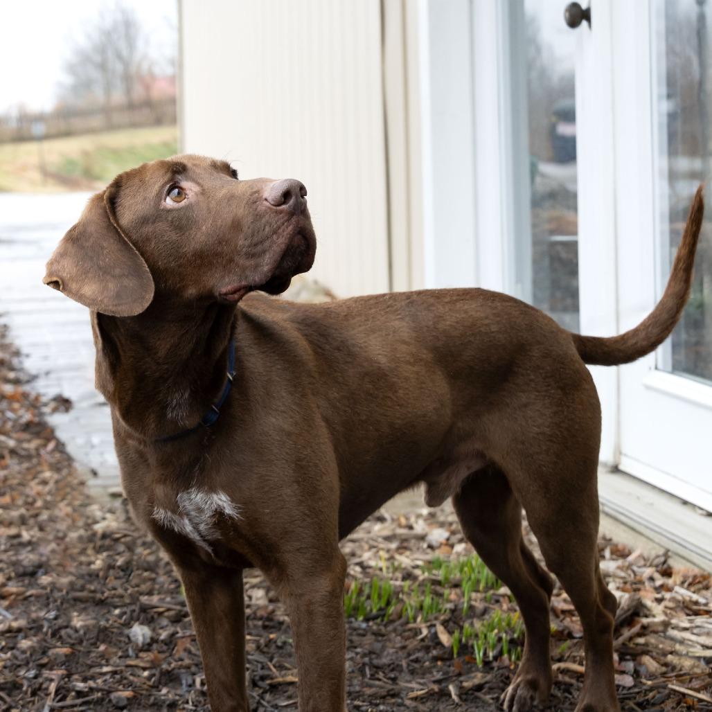 Java — thumbnail 3