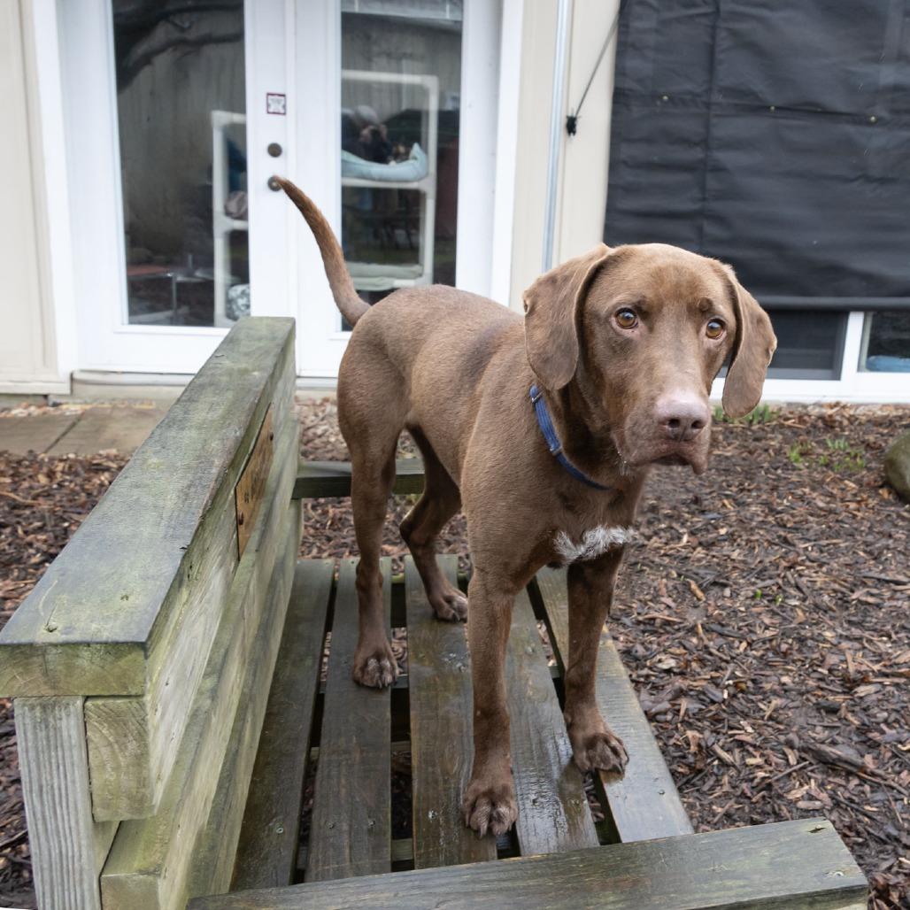 Java — thumbnail 5