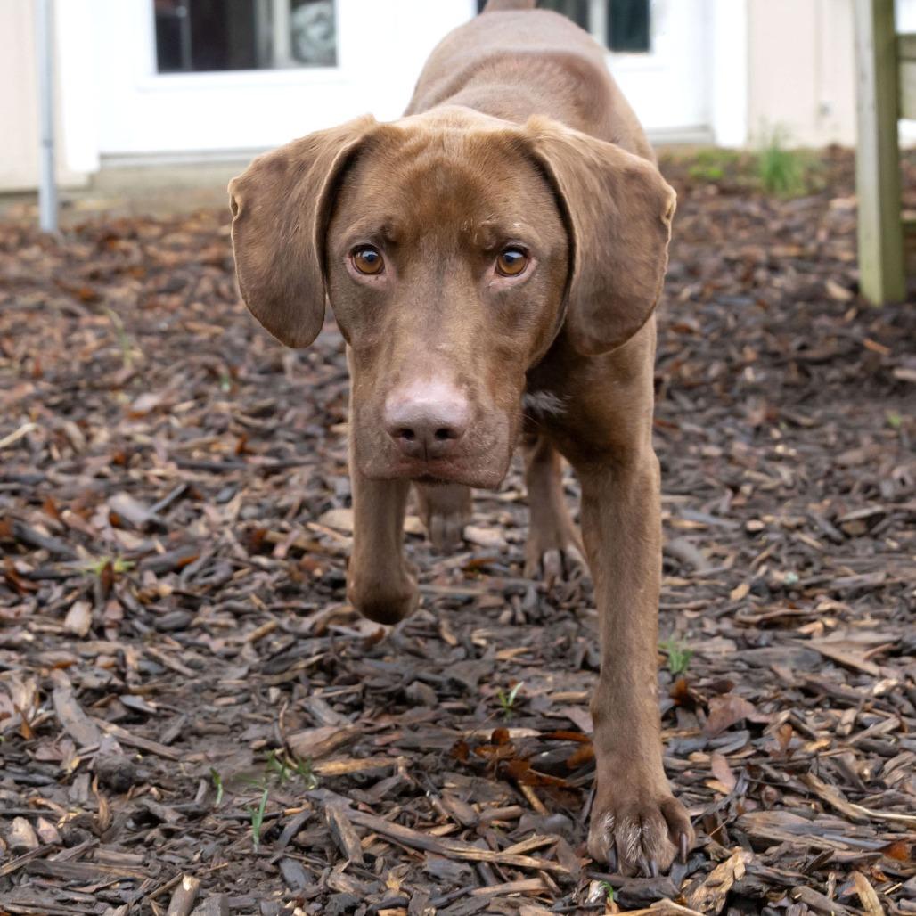 Java — thumbnail 6