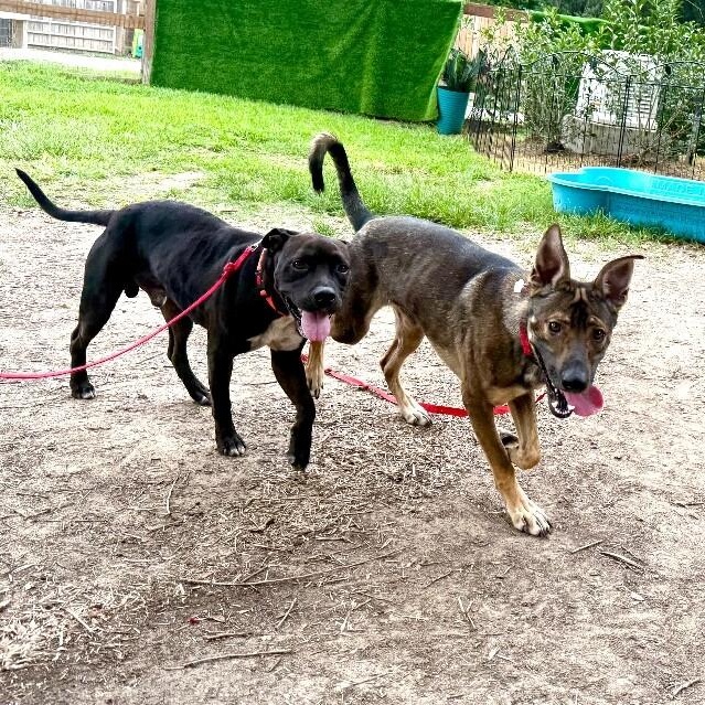 Marty brings the cuddle party