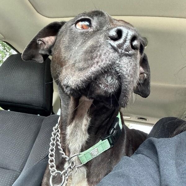 Marty brings the cuddle party — thumbnail 3