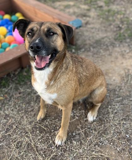 Joyce — thumbnail 2