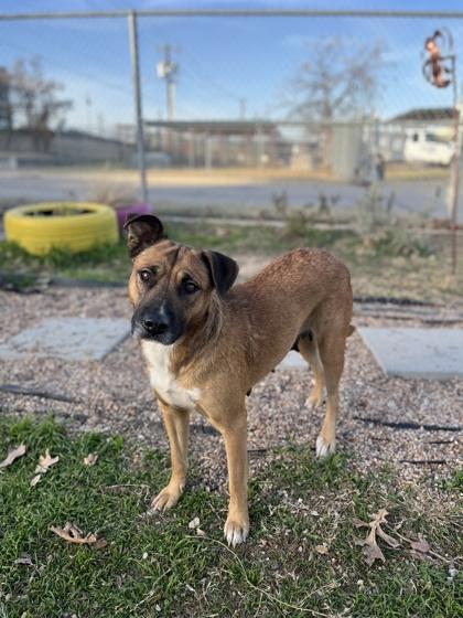 Joyce — thumbnail 3