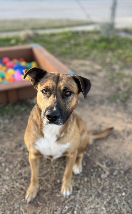 Joyce — thumbnail 4