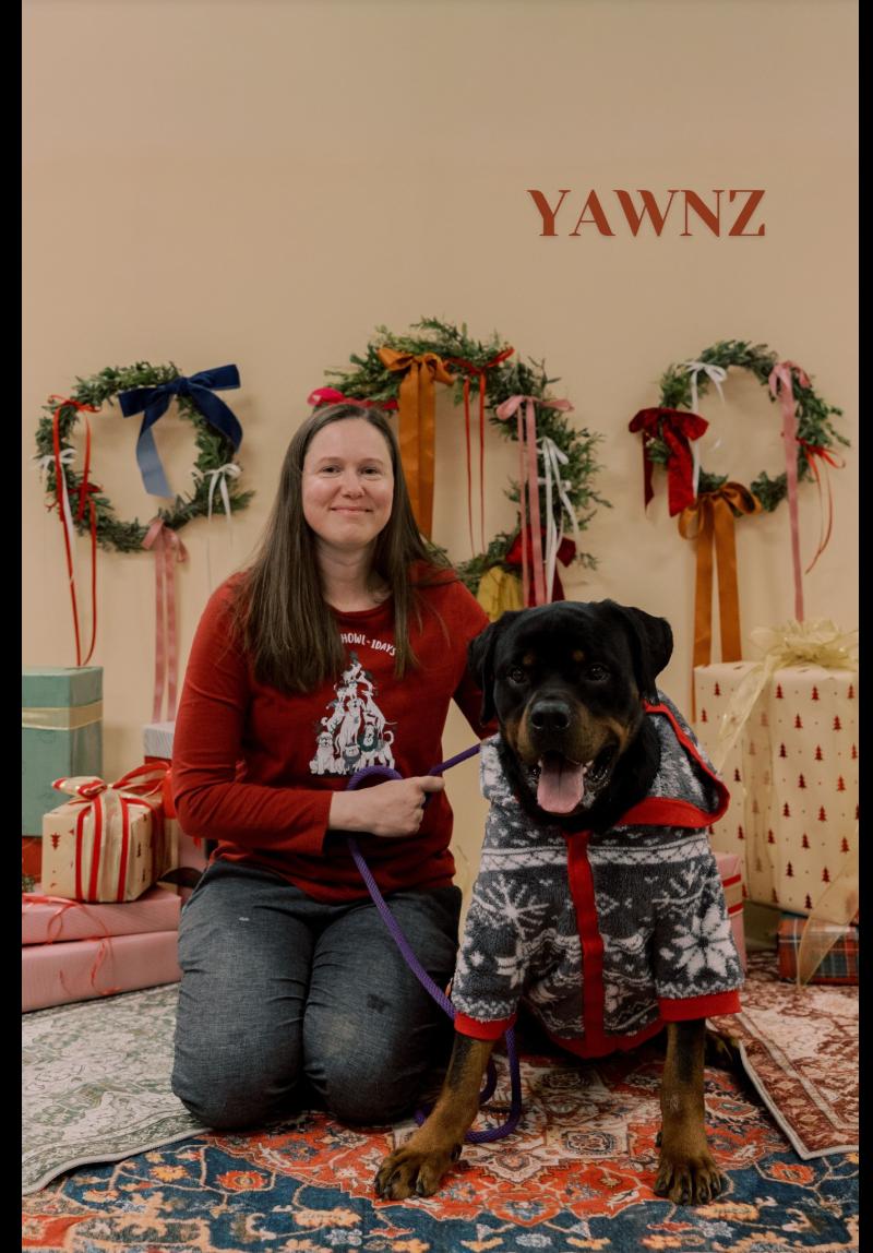 Enlarge Deuce, a ADOPTABLE Rottweiler in Perkasie, PA image 4/5