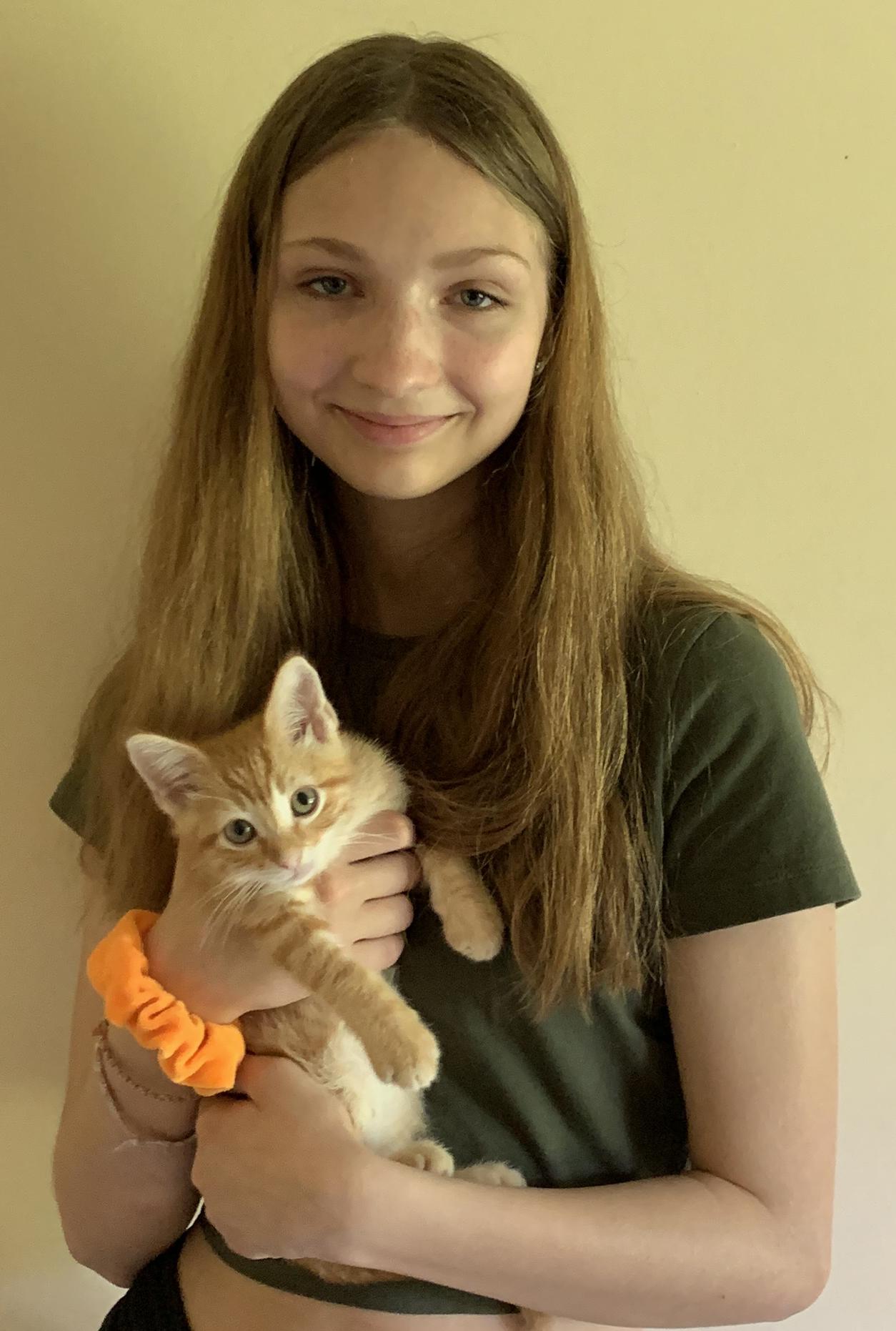 Dusty & Sweet Pea, a Adopted Domestic Medium Hair in Fairfield, IA image 3/4