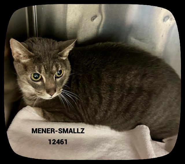 MENER-SMALLZ